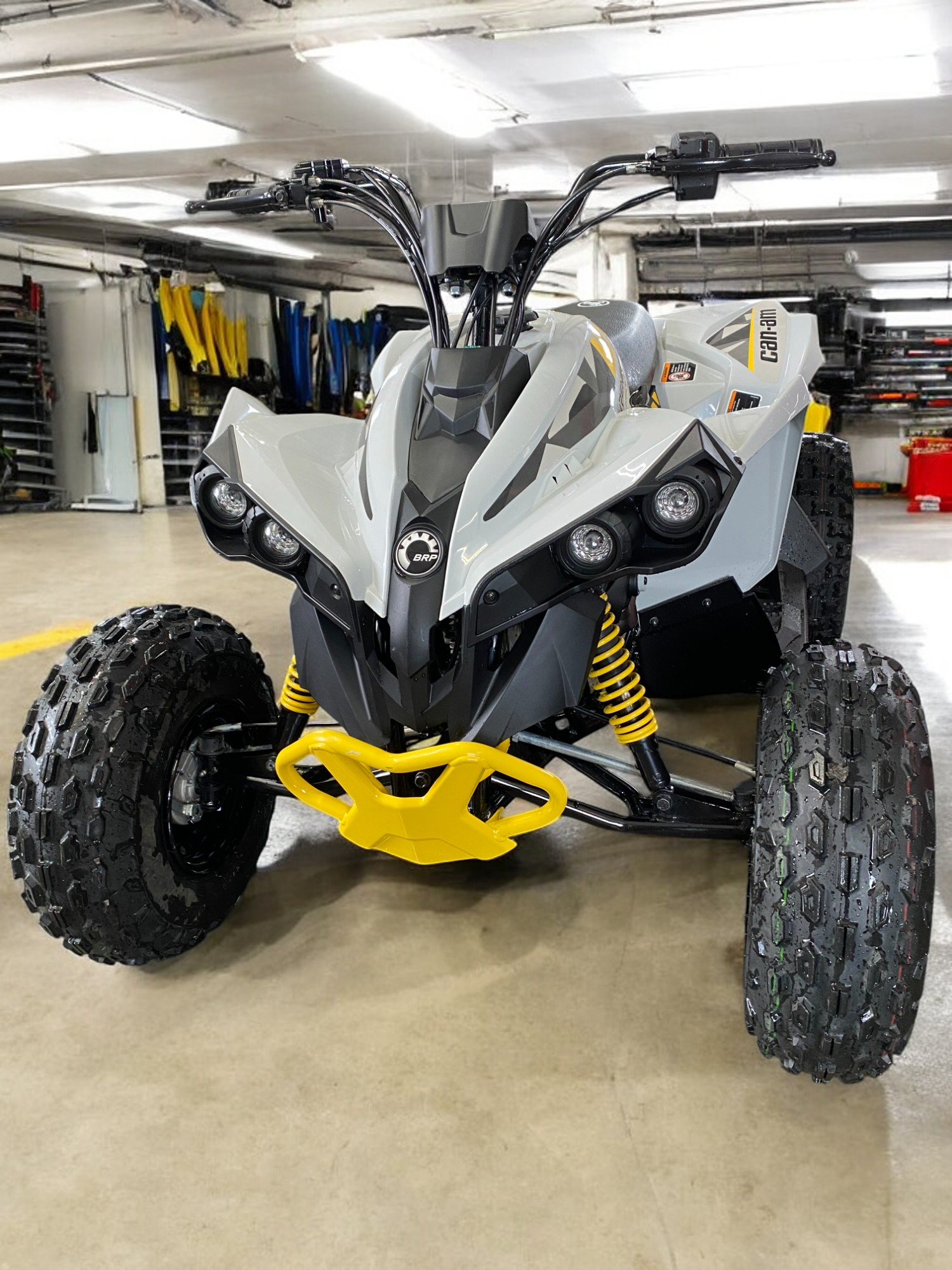Can-Am Renegade 100 skid plate